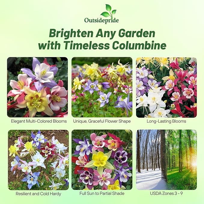 Outsidepride Mixed Columbine Seeds - 1000 Pcs Perennial, Easy to Grow Flower Seeds for Planting, Suitable for Pollinator-Friendly Garden, Cut Floral Arrangements, Ground Covers, or Borders