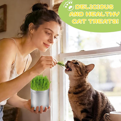 4 Pack Cat Grass Seeds Kit for Indoor Cats, Beginner Friendly Easy Grow Cat Grass Growing Kit, Fast Germinating, Natural Hairball Control, Safe Chewing Grass for Cats & Kittens