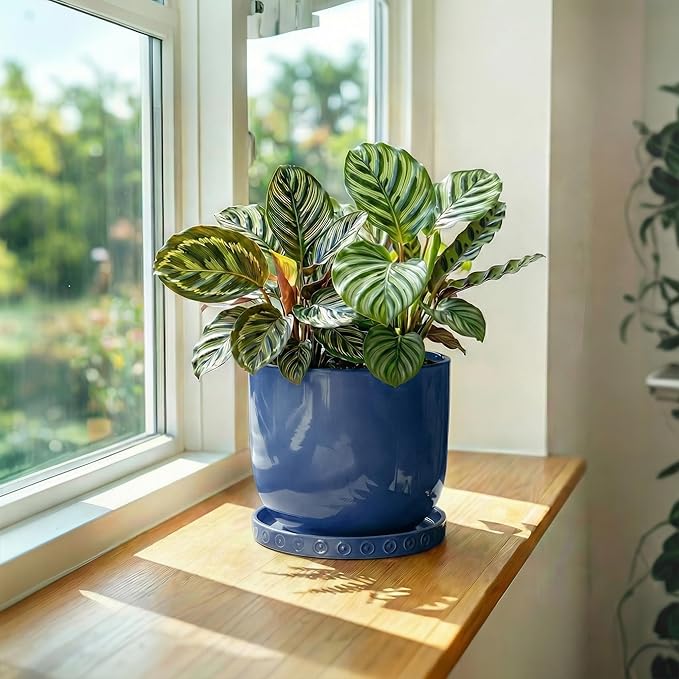 Ceramic Plant Saucer, Plant Water Catcher Tray for Indoor Outdoors, 5.6 Inch Plant Pot Saucers, Round Plants Plates to Catch Water, Boho Decorative Plants Dishes to Catch Water, Blue