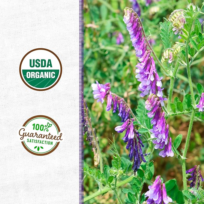 Back to The Roots 100% Organic Hairy Vetch Cover Crop Seeds, Covers ~1000 sq. ft.