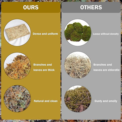 Hourleey 1.1 lb Sphagnum Moss for Plants, Premium Natural Long Fibered Dried Moss Potting, Sphagnum Peat Moss Bulk for Orchids Succulent Carnivorous Potted Plant Reptiles Medium Sarracenia