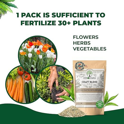 BuildASoil Fertilizer for Vegetable Garden and Organic Plant Food | Hand-Crafted Organic Fertilizer with 15 Premium Ingredients | Ensures Larger Plants and More Fragrant Flowers (3 LB - Small Bag)