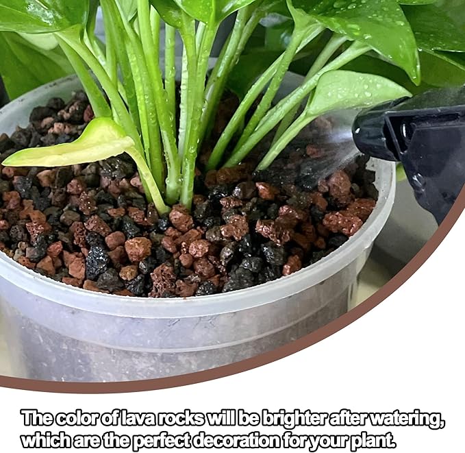 3lb Lava Rocks for Plants - Horticultural Volcanic Gravel for Drainage in Succulents, Bonsai, Terrariums and Landscaping