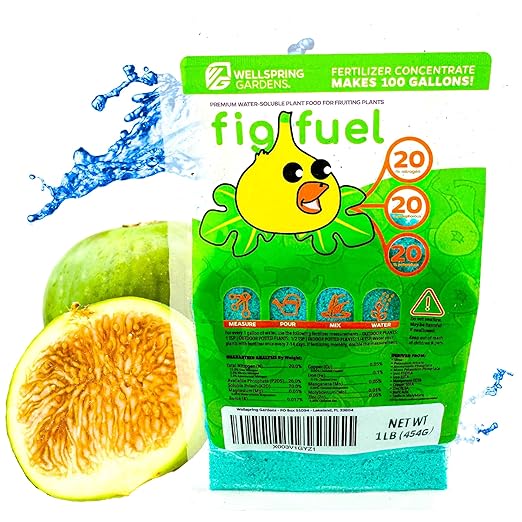 Wellspring Gardens Fig Fuel Fertilizer - Water-Soluble 20-20-20 Blend for Fig Trees, Fruit & Plant - Plant Food for Healthy Growth & Leaves - 1 Pound