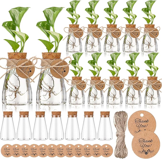 Baderke 24 Pack 3.35'' Plastic Plant Propagation Stations with Hole Lid Planter Vase Clear Propagation Jars with Thank You Tags for Plant Lover Gifts for Women Office Home Garden