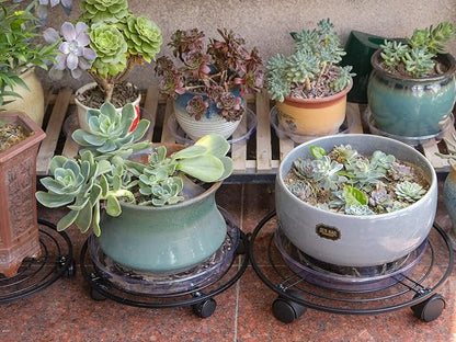 3 Packs 13.5" Metal Plant Caddy with Wheels Large Rolling Plant Stands Indoor Wheeled Plant Dolly Heavy-duty Planter Mover Roller Base Outdoor Plant Trolley Cart Water-proof, Plant Saucers on Wheels