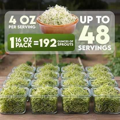 Nature Jims Sprouts Clover Seeds –Organic Non-GMO Sprouting Seeds for Fresh, Nutrient-Rich Seed, Packed with Vitamins, Minerals & Fiber, Ideal for Growing Sprouts and Clover Seed, Reseable Bag, 16 oz