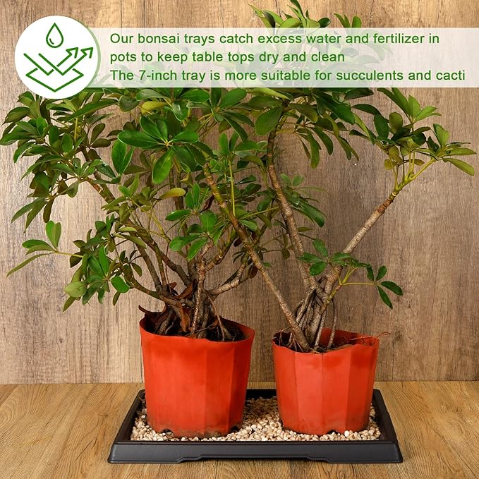 Pinkunn 2 Pcs Bonsai Humidity Tray Rectangular Drip Tray Plastic Plant Water Catcher Plant Saucers for Indoors and Outdoors Cactus,Succulents,Bonsai Tree,Stone Not Included (15.7 x 13 Inch)