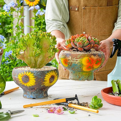 Sungmor Small Succulent Planters Set of 2, Beautiful Hand Crafted Ceramic Plant Pots Cute Cactus Pot, 6.5 Inch Flower Pots for Indoor Plants with Drainage, Desktop Windowsill Home Office Decor Pots