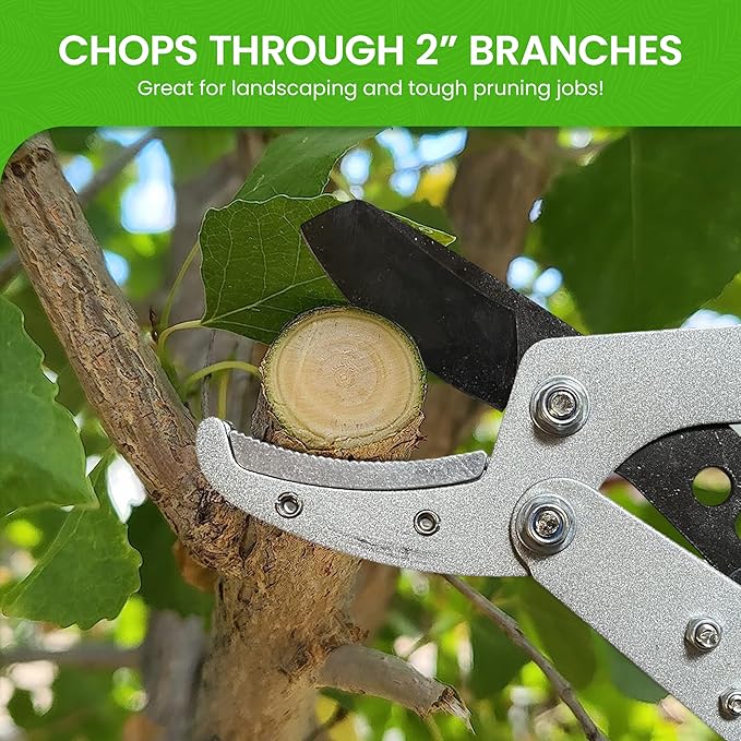 Garden Guru Extendable Anvil Lopper Tree Trimmer with Compound Action, Chops Thick Branches with Ease, 28-40”, Non-Stick High Carbon Steel Blade, Heavy Duty Branch Cutter, 2 Inch Clean Cut Capacity, 2