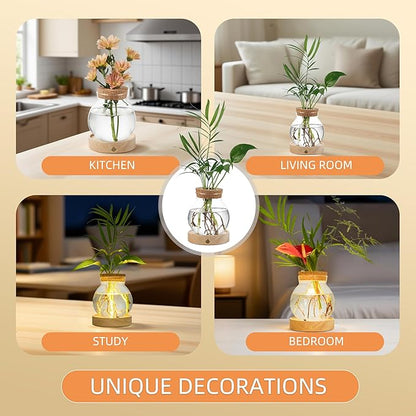 Plant Propagation Station with Light, Valentines Day Glass Terrarium with Stepless Dimming Function Hydroponic Glass Container Vase Jars Gardening Gifts for Mom Women Plant Lovers