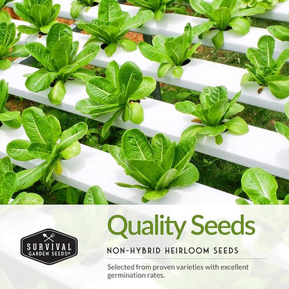 Lettuce Seeds 5-Variety Collection – Heirloom Romaine (Parris Island), Buttercrunch, Iceberg, Oakleaf, Lolla Rosa Lettuces for Planting – Non-GMO, Open-Pollinated – Survival Garden Seeds