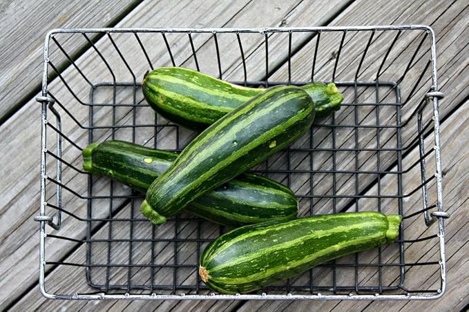 Seeds Vegetable Zucchini Tiger Striped Green - 30 Seeds