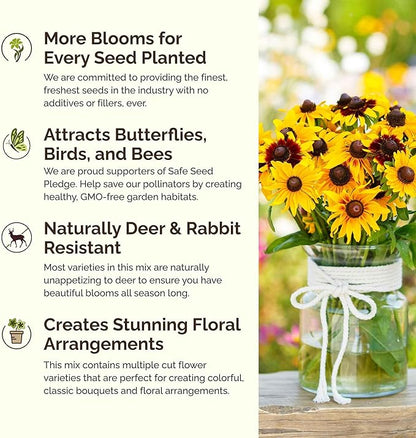 Eden Brothers Daisy Crazy Flower Mixed Seeds for Planting, 1/4 lb, 120,000+ Seeds with Creeping, Painted, Yellow Daisy | Attracts Pollinators, Plant in Spring or Fall, Zones 3, 4, 5, 6, 7, 8, 9, 10