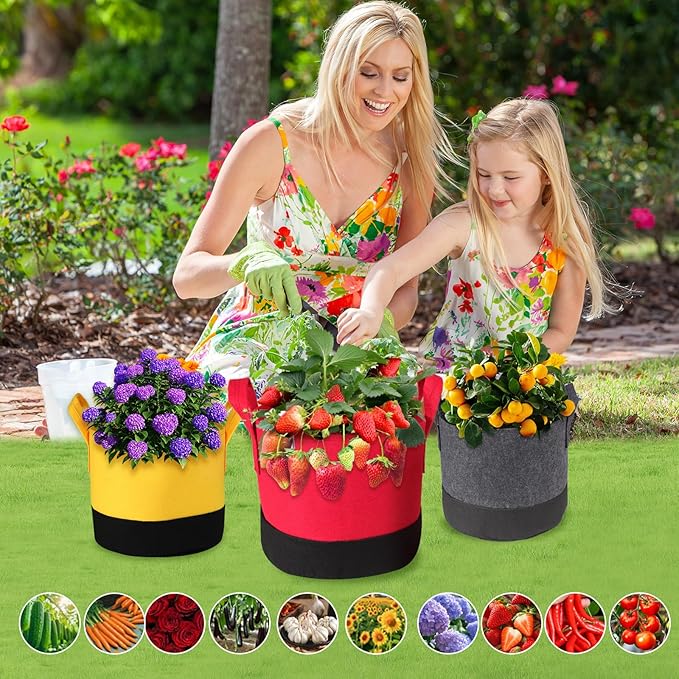 Grow Bags 5Gal/7Gal/10Gal * 2 ，6 Pack Vegetable/Flower/Plant Grow Bags ，Plant Fabric Pots with Handles for Garden and Outdoor Planting (6 Colour, 5 Gallon)