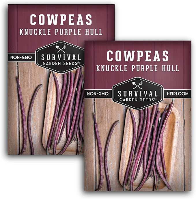Knuckle Purple Hull Pea Seeds for Planting – Heirloom Southern Field Peas – Drought-Tolerant, High-Yield Crowder-Type Cowpea for Home Gardens – Survival Garden Seeds (2 Pack)