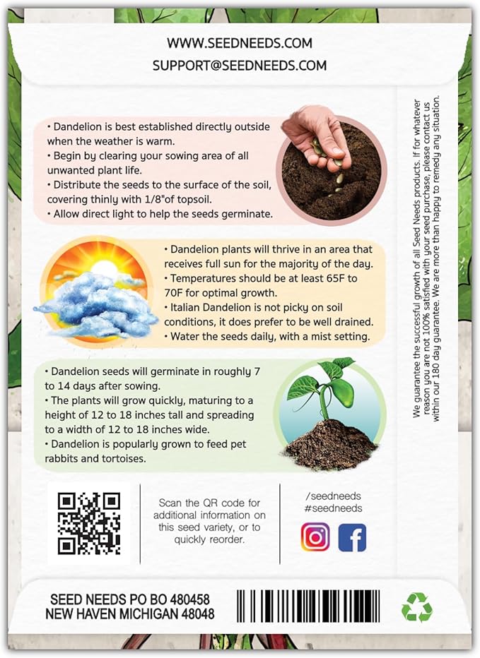Seed Needs Garnet Stem Dandelion Seeds for Planting - Non-GMO, Heirloom & Untreated Edible Herbs - Grow Your own Food for Tortoises, Rabbits & Bearded Dragons (1 Pack)