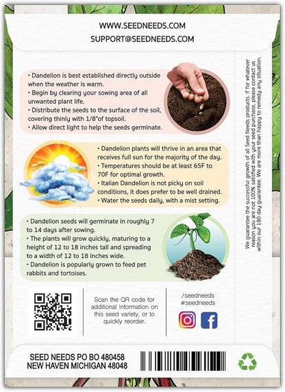 Seed Needs Garnet Stem Dandelion Seeds for Planting - Non-GMO, Heirloom & Untreated Edible Herbs - Grow Your own Food for Tortoises, Rabbits & Bearded Dragons (2 Packs)