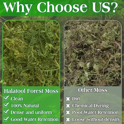 Halatool 9OZ Green Moss for Potted Plants, 12QT Orchid Moss Potting Mix, Forest Moss for Indoor Plants, Indoor Potting Plant Moss for Repotting Terrariums Garden Reptiles