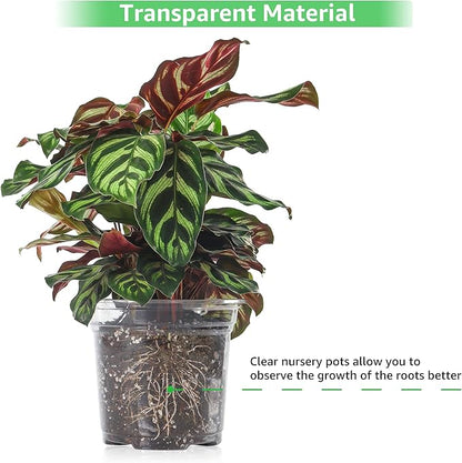 Bonviee 36 Packs 3.5/4/5 Inch Clear Nursery Pots, Transparent Plastic Planter with Drainage Holes, Seed Starting Pot Flower Plant Container -Clear