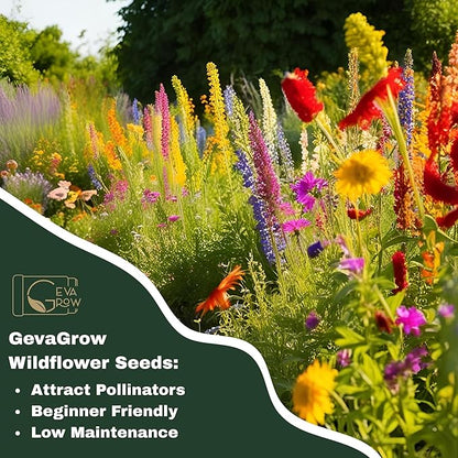 Wildflower Seeds Bulk, 1 Oz. 40,000+ Seeds – Butterfly & Hummingbird Mix with 18 Non-GMO Varieties – Pollinator Flower Seed for Planting