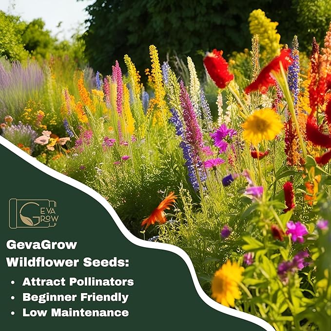 Awesome Annual Wildflower Seeds – 1oz Packet (15,000+ Seeds, Covers 100 Sq Ft) | 18 Easy-Grow Flower Varieties | Organic, Non-GMO | Fast Blooming Garden Mix for Bees, Butterflies & Pollinators