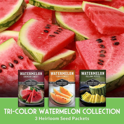 Tri-Color Watermelon Seeds for Planting – Heirloom Variety Pack: Crimson Sweet, Yellow Petite, & Tendersweet Orange – 3-Variety Watermelon Collection by Survival Garden Seeds