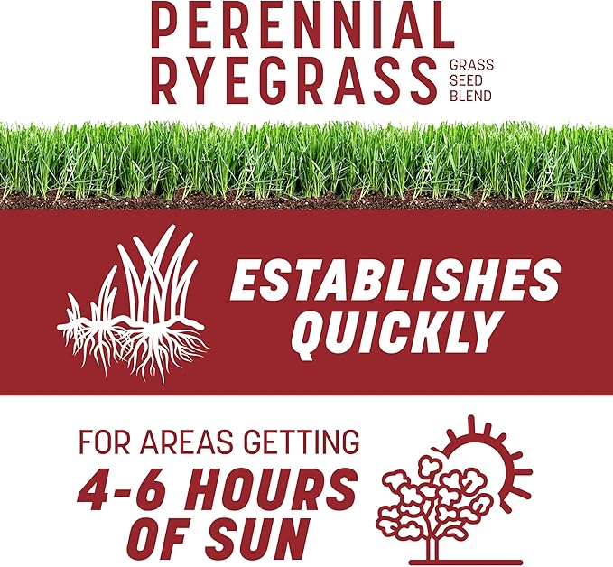 Pennington Smart Seed Perennial Ryegrass 3 lb