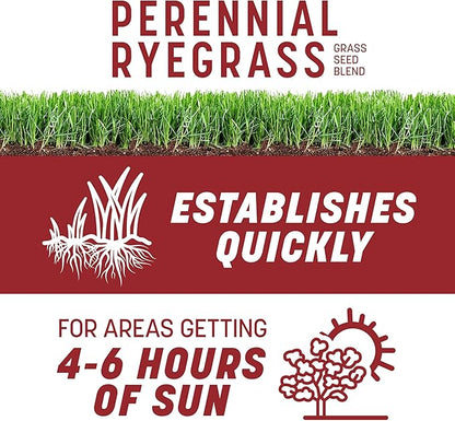 Pennington Smart Seed Perennial Ryegrass 3 lb