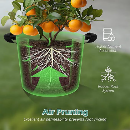 5-Pack 10 Gallons Grow Bags - Heavy Duty 300G Thickened Aeration Nonwoven Fabric Pots with Handles - Ideal Cloth Pots for Plants - Planters Accessories, Garden Vegetables Supplies