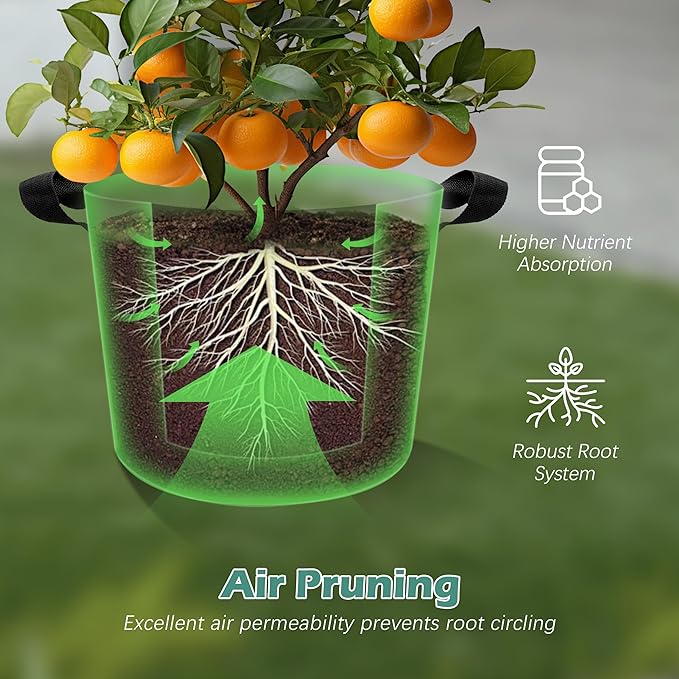 5-Pack 2 Gallons Grow Bags - Heavy Duty 300G Thickened Aeration Nonwoven Fabric Pots with Handles - Ideal Cloth Pots for Plants - Planters Accessories, Garden Vegetables Supplies