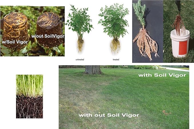 Super Absorbent Polymers Moisture and Fertilizers Keeper for Plants (40 Lb.)