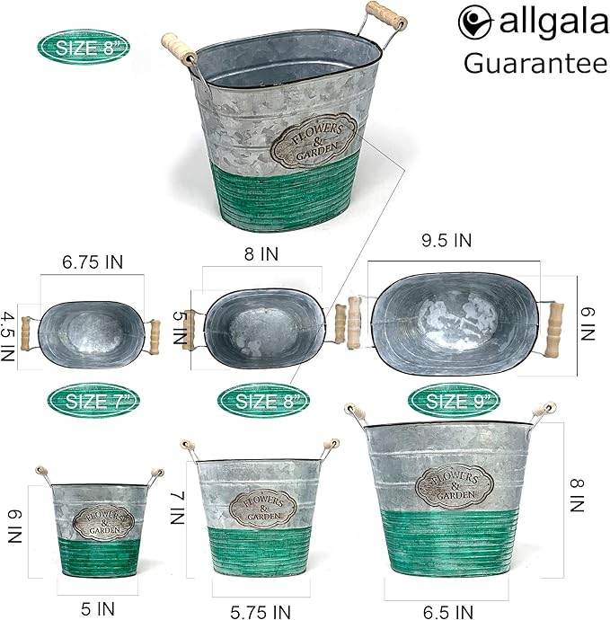 allgala Galvanized Planter Pot Indoor and Outdoor Decoration-Oval-8"-HD88302A