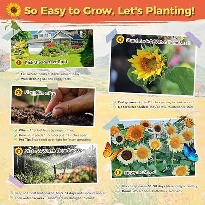 Sunflower Seeds for Planting | 3000+ Giant Mammoth Heirloom Bulk Seeds in 2oz Packet | High Germination, Open Pollinated, Attracts Pollinators for Home & Outdoor Gardens