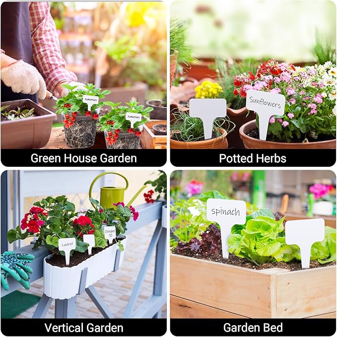 Greaner Plastic Plant Tags, 300 PCS Plant Markers for Outdoor Plants Waterproof, Plant Identification Stakes for Indoor Outdoor Plants, Vegetable Gardening Tags(White, 6x10cm)