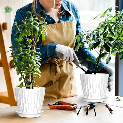 6 Pack 6 Inch Indoor Plant Pots with Drainage Holes, Outdoor Plastic Decorative Flower Pots, Garden Planters with Tray Saucers for Orchids, Violets, Succulents, Herbs, and Other Plants