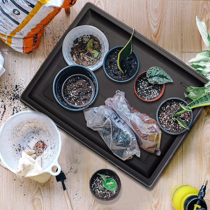 Pinkunn 2 Pcs Bonsai Humidity Tray Rectangular Drip Tray Plastic Plant Water Catcher Plant Saucers for Indoors and Outdoors Cactus,Succulents,Bonsai Tree,Stone Not Included (15.7 x 13 Inch)