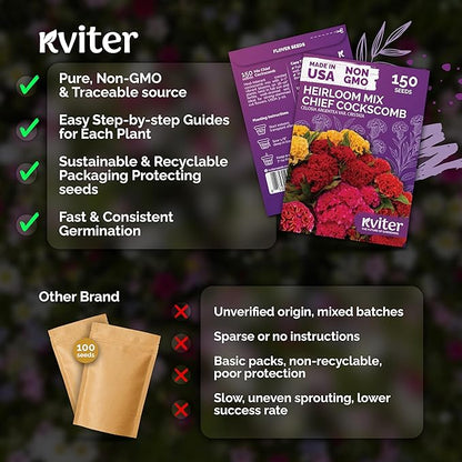KVITER 150 Chief Mix Cockscomb Seeds (Celosia argentea) – Celosia Seeds for Planting Flowers Vibrant Blooms, Annual Cut Flower Seed Mix – Heat Tolerant Flower Garden Containers, Flowers Beds Outdoors