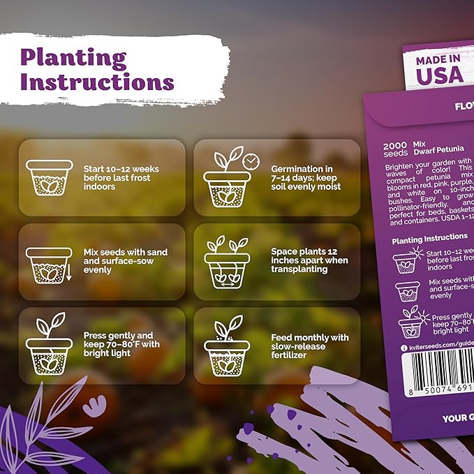 KVITER 2,000 Mix Dwarf Petunia Seeds for Planting Flowers (Nana Compacta) — Mini Petunia Flower Seeds, Annual, Organic & Non GMO — Beds, Hanging Baskets, Containers, Outdoor & Indoor Garden