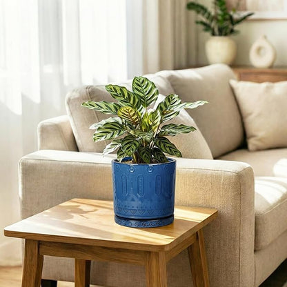 Ceramic Plant Saucer, Plant Water Catcher Tray for Indoor Outdoors, 5.6 Inch Plant Pot Saucers, Round Plants Plates to Catch Water, Boho Decorative Plants Dishes to Catch Water, Blue