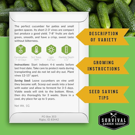 Spacemaster Cucumber Seeds for Planting | Compact Heirloom Non-GMO Variety for Small-Space Gardens – Survival Garden Seeds (1 Pack)