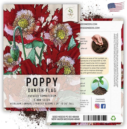 Seed Needs Danish Flag Poppy Seeds for Planting - Heirloom & Open Pollinated Annual Flowers - Attracts Pollinators/Butterflies to a Butterfly Garden (2 Packs)