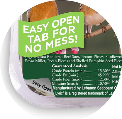 Lyric Fine Tunes No Waste Wild Bird Seed Suet Cakes for Wild Birds, 9 lb (Pack of 1)