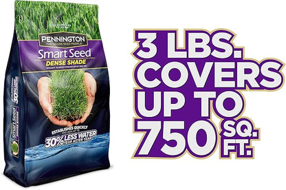 Pennington Smart Seed Dense Shade Grass Seed, 3 lb (100086851)