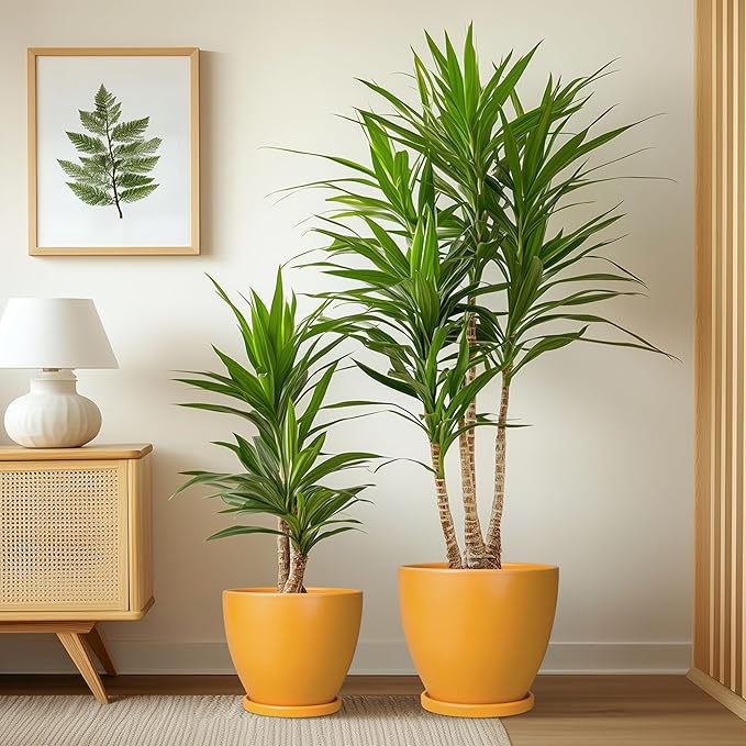 Ceramic Planters - 10+8+6 Inch Round Flower Pots for Indoor Outdoor, Decorative Plant Pots with Drainage Holes and Plant Saucers, Home Decor, Gardening Gifts for Women, Set of 3, Orange