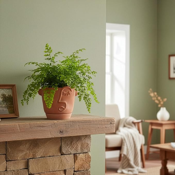 6 Inch Terracotta Abstract Face Planter with Drainage & Saucer – Artistic Ceramic Flower Pot for Indoor Plants, Boho Home Decor, Unique Gift for Plant & Art Lovers