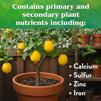Down To Earth All Natural Fertilizers Organic Citrus Mix - Plant Food for Lemons, Limes, Oranges and Avocados 6-3-3, 1 lb