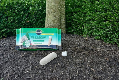 Miracle-GRO Tree & Shrub Plant Food Spikes, 12 Spikes (2-Pack)