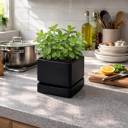 D'vine Dev 6 Inch Herb Planter Pot, Plastic Planter with Drainage Holes and Saucer, Modern Decorative Gardening Pot for Indoor Plants, Flowers, Herbs, Succulents, Black, Set of 2, 76-Y-B2-2