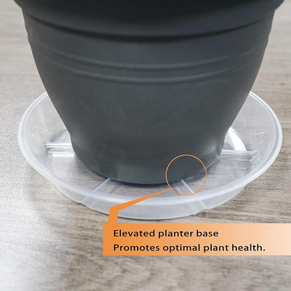6 Pack Plant Saucers, 8 inch Clear Plant Trays, Durable Round Plastic Flower Plant Water Drip Tray for Pots Planter, Heavy Duty Plant Dish Pant Plate to Catch Water for Indoor & Outdoor